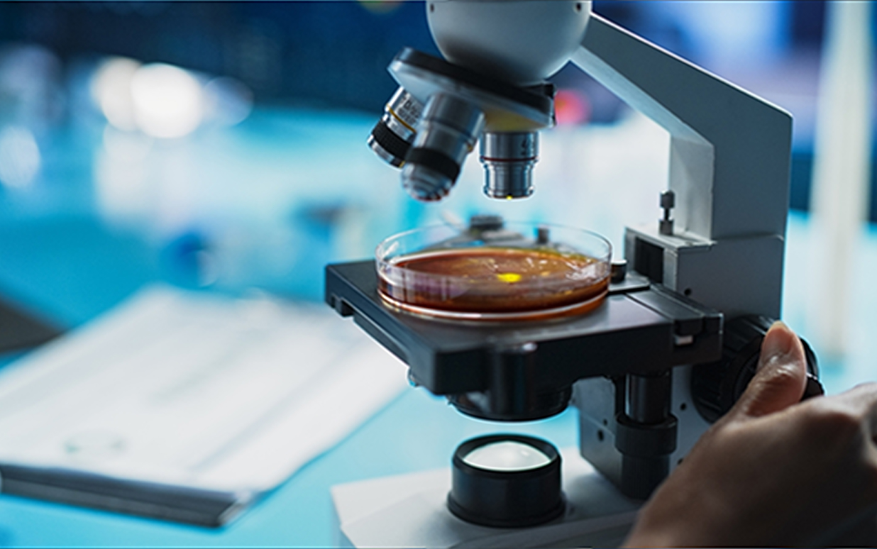 Pharmaceutical Research